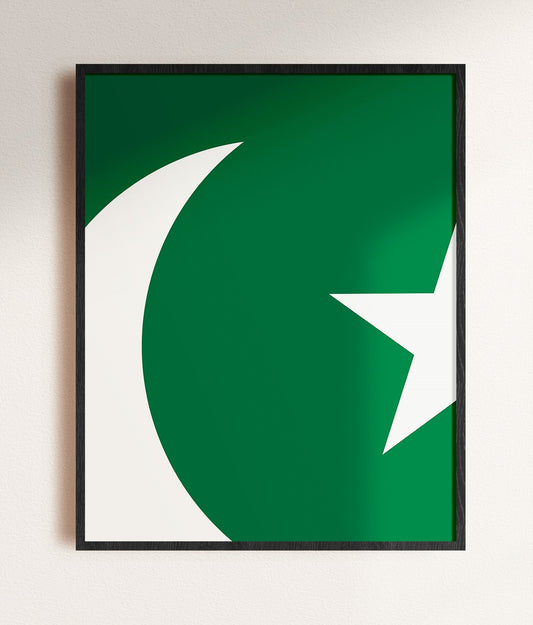 pakistan flag wall art, framed