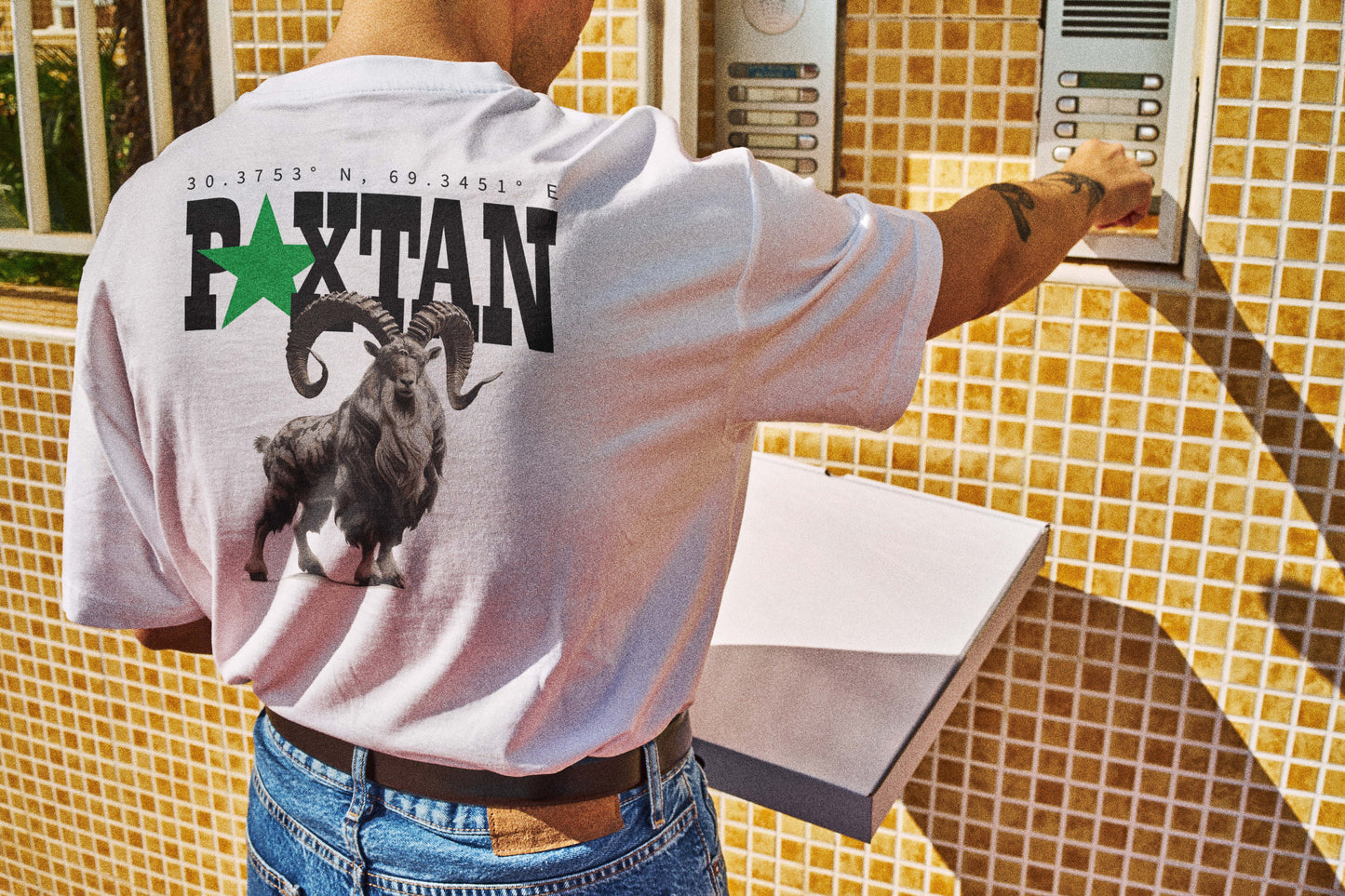 Pakistan Graphic T-Shirt