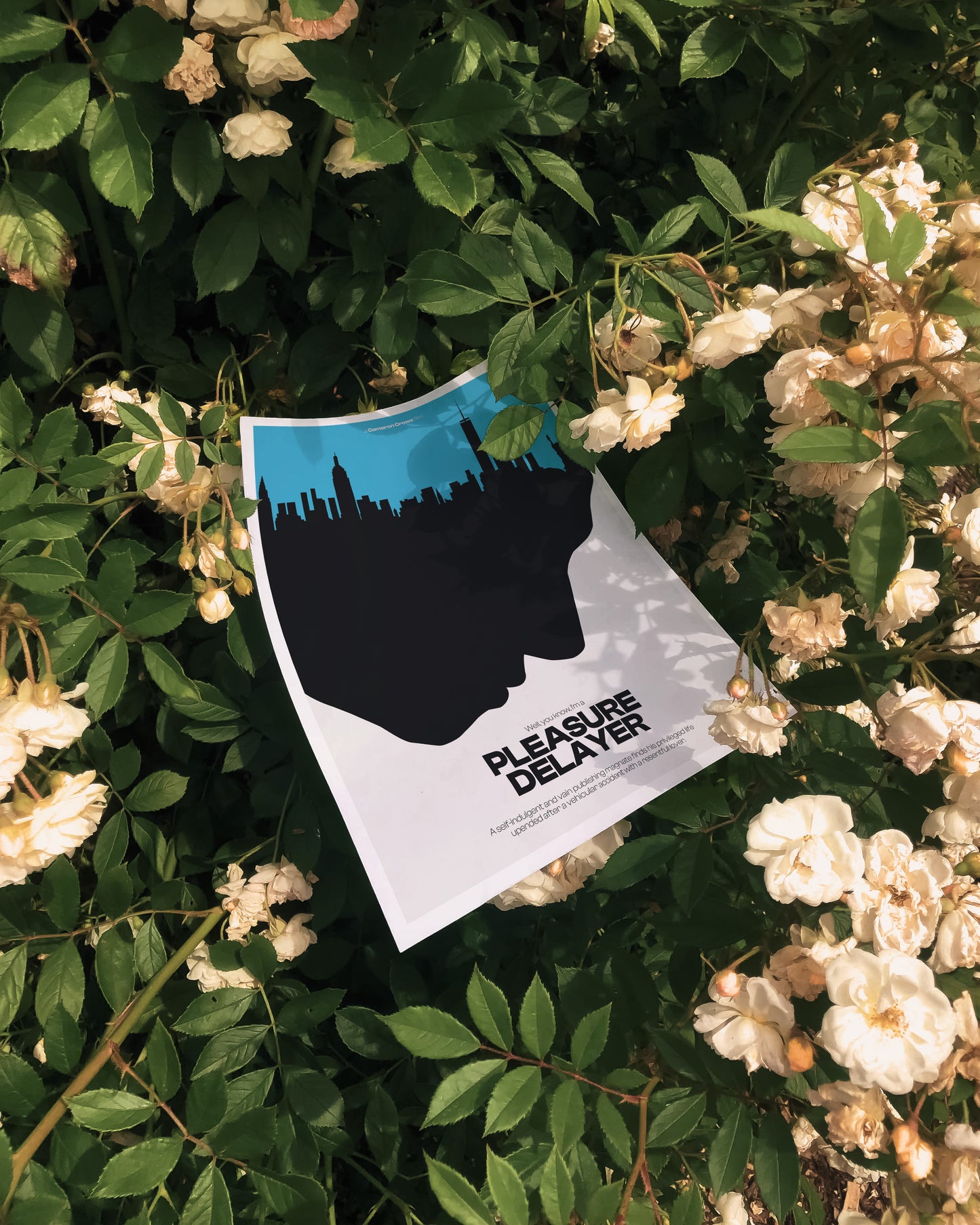 Vanilla Sky Movie Wall Art (Digital Download)