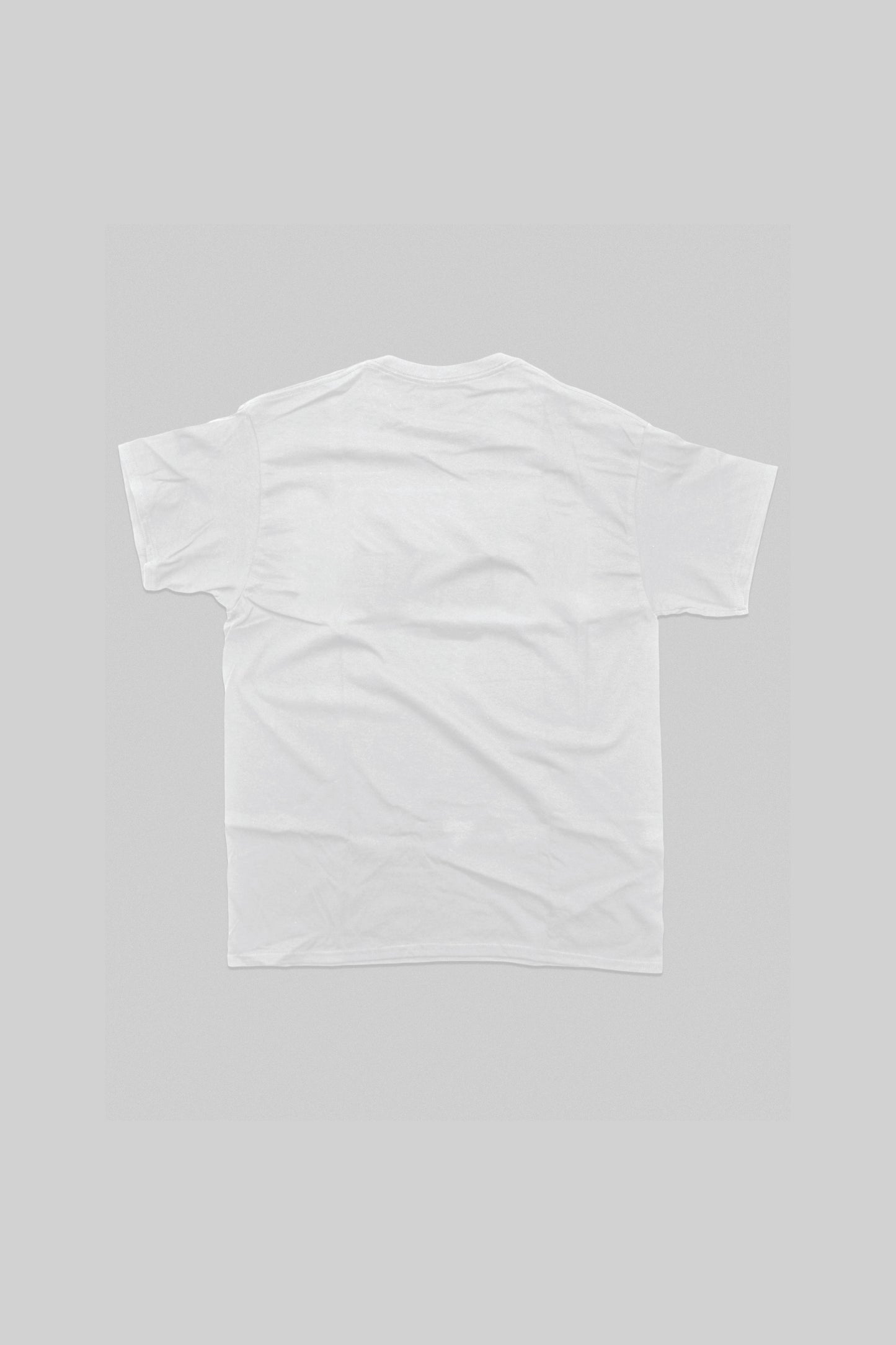 Inner Child vs Inner Critic Graphic T-Shirt