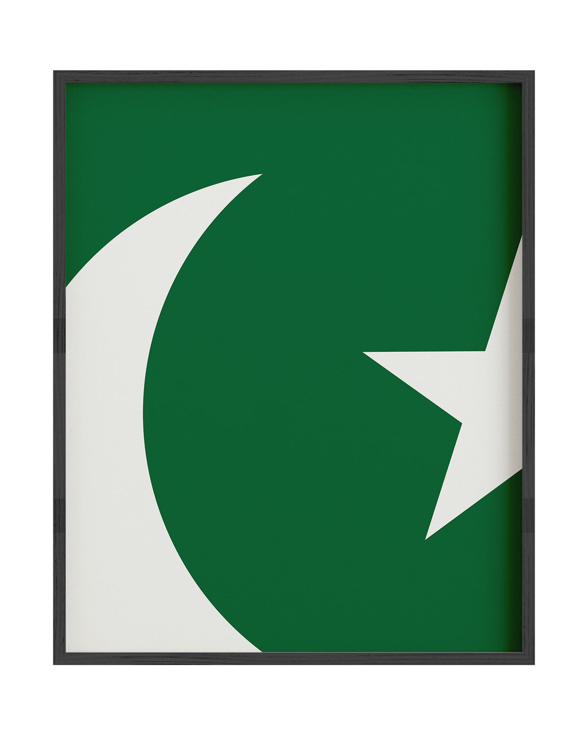 Pakistan Flag Wall Art (Digital Download)