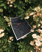 Mr. Robot TV Show Wall Art (Digital Download)