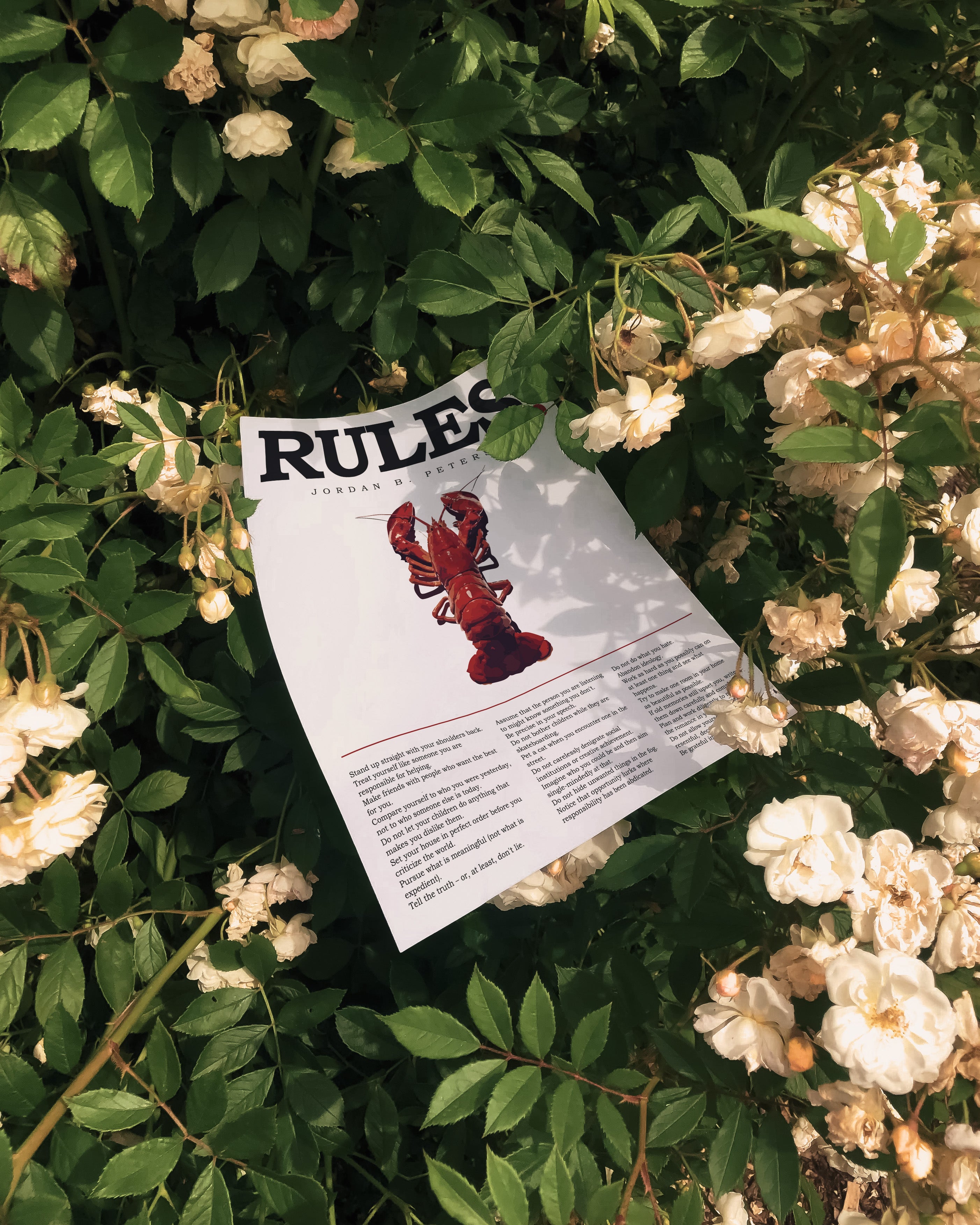 Jordan Peterson's Rules Wall Art (Digital Download)