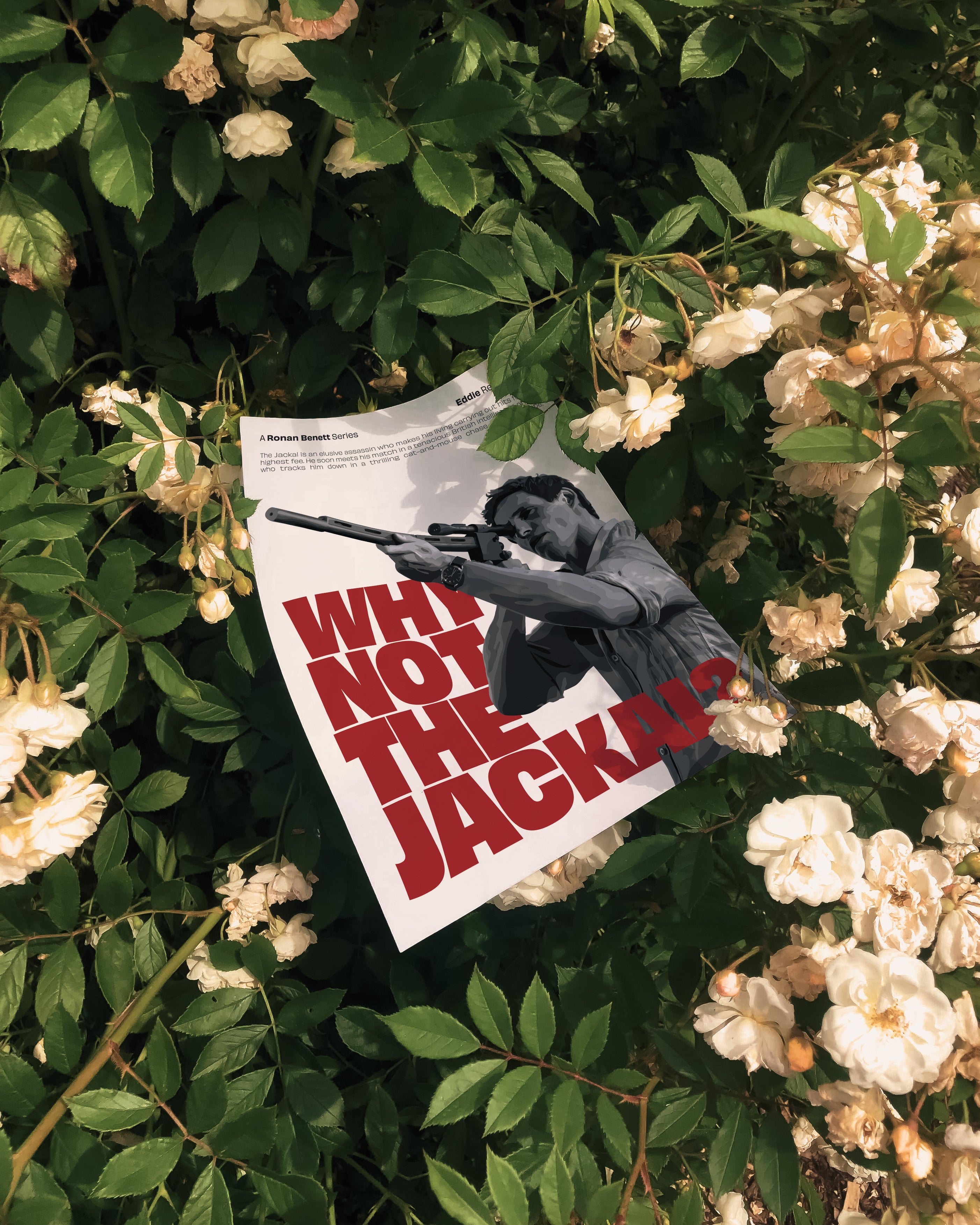 The Day of the Jackal TV Show Wall Art (Digital Download)