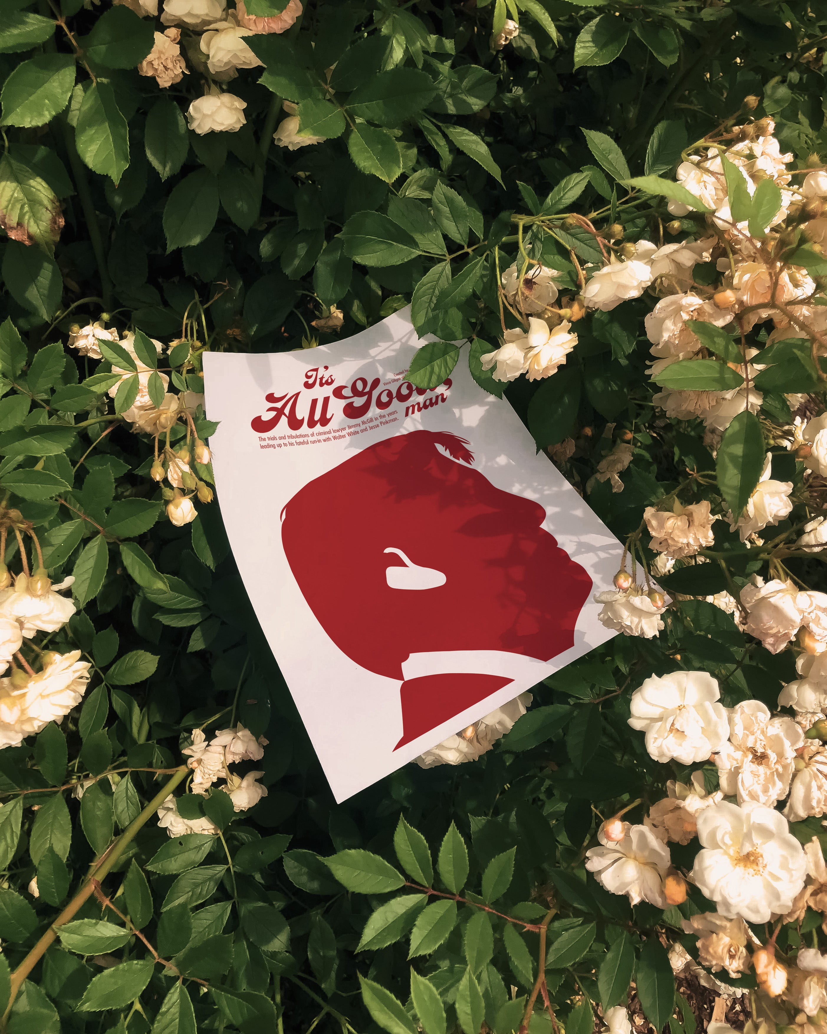 Better Call Saul TV Show Wall Art (Digital Download)