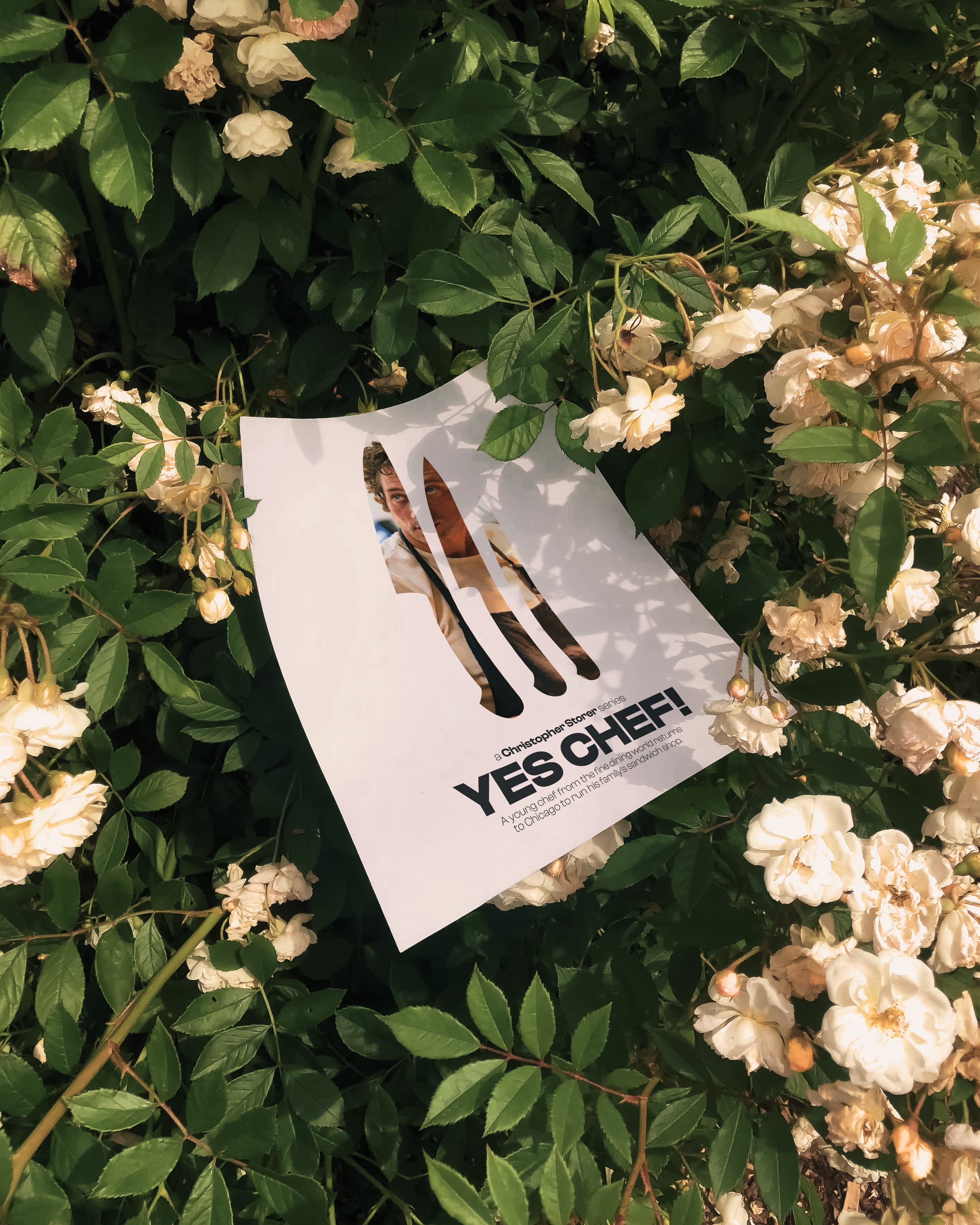 The Bear Series Wall Art (Digital Download)