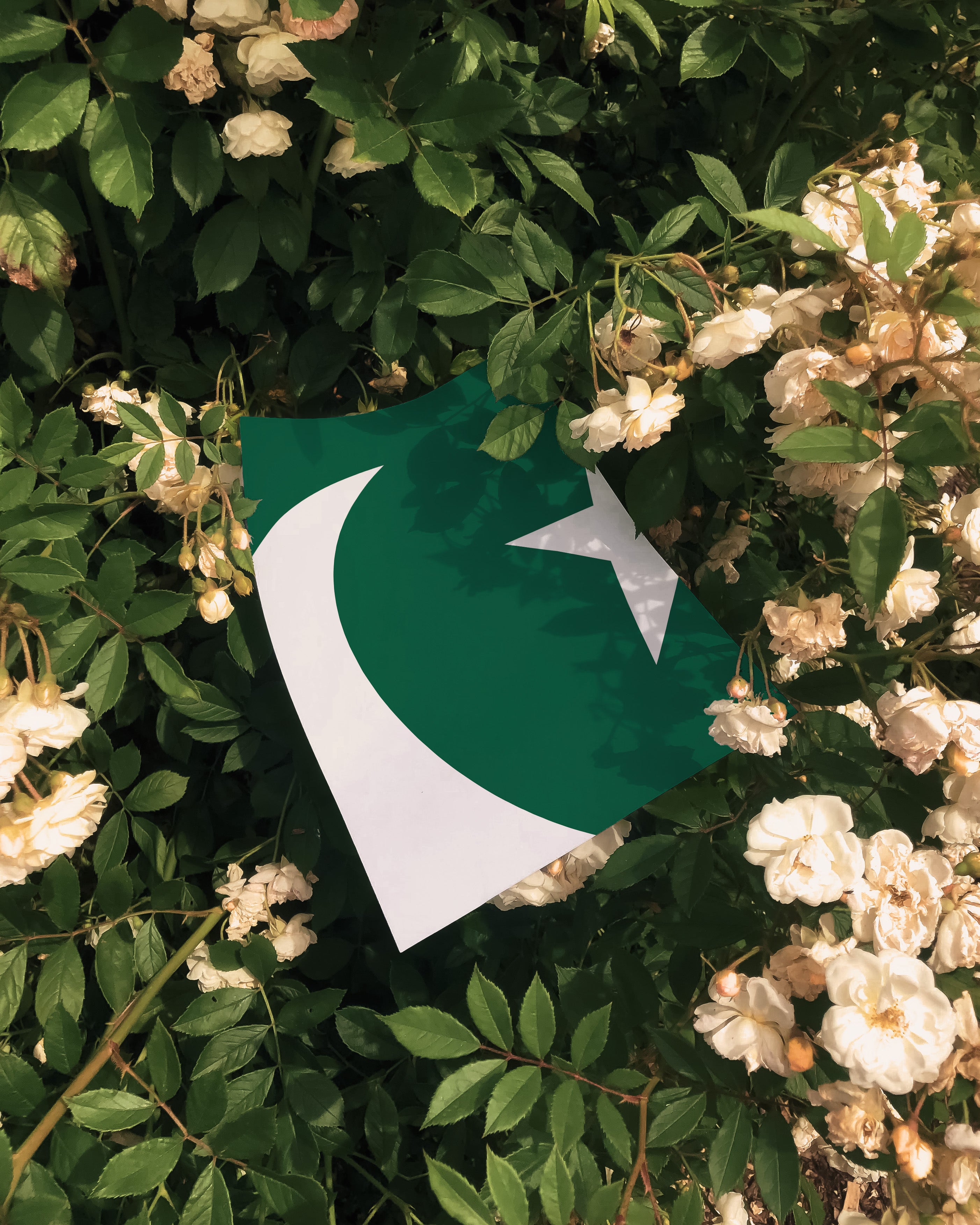 Pakistan Flag Wall Art (Digital Download)