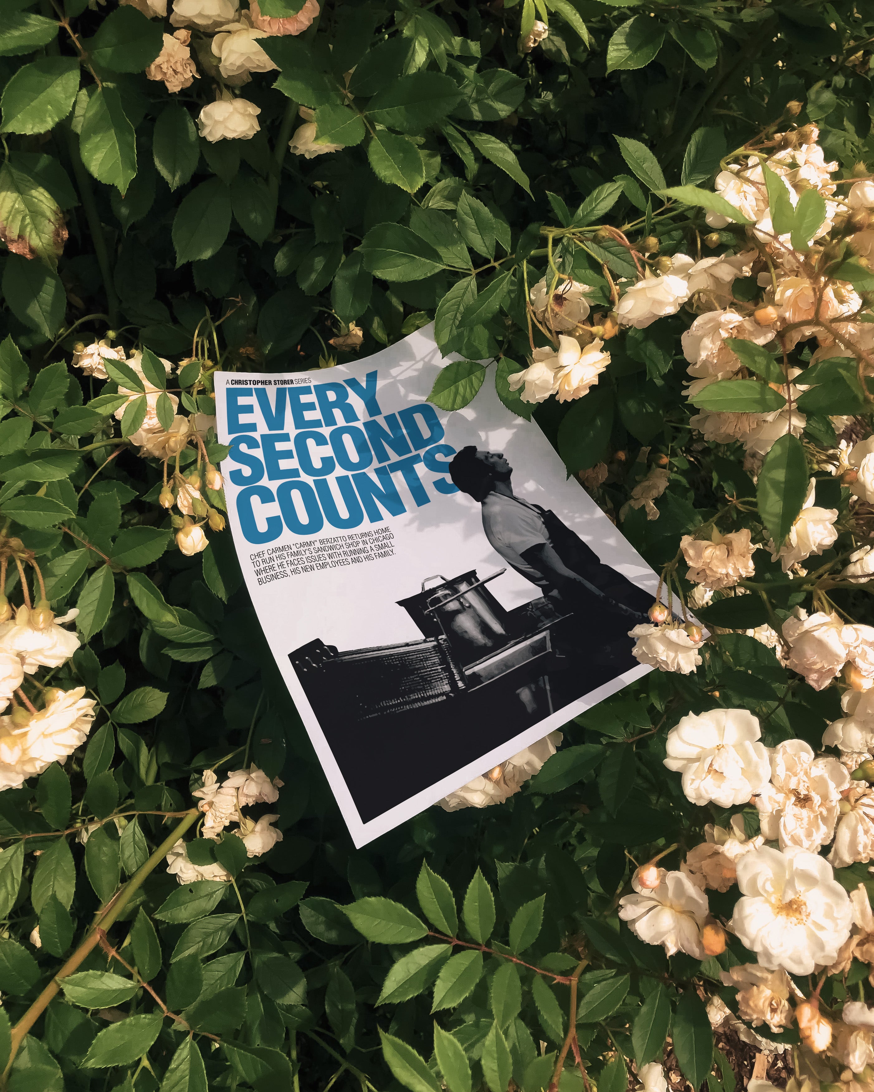 The Bear TV Show Wall Art (Digital Download)