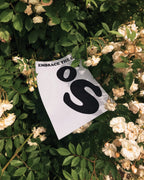 Embrace the Chaos Typography Wall Art (Digital Download)