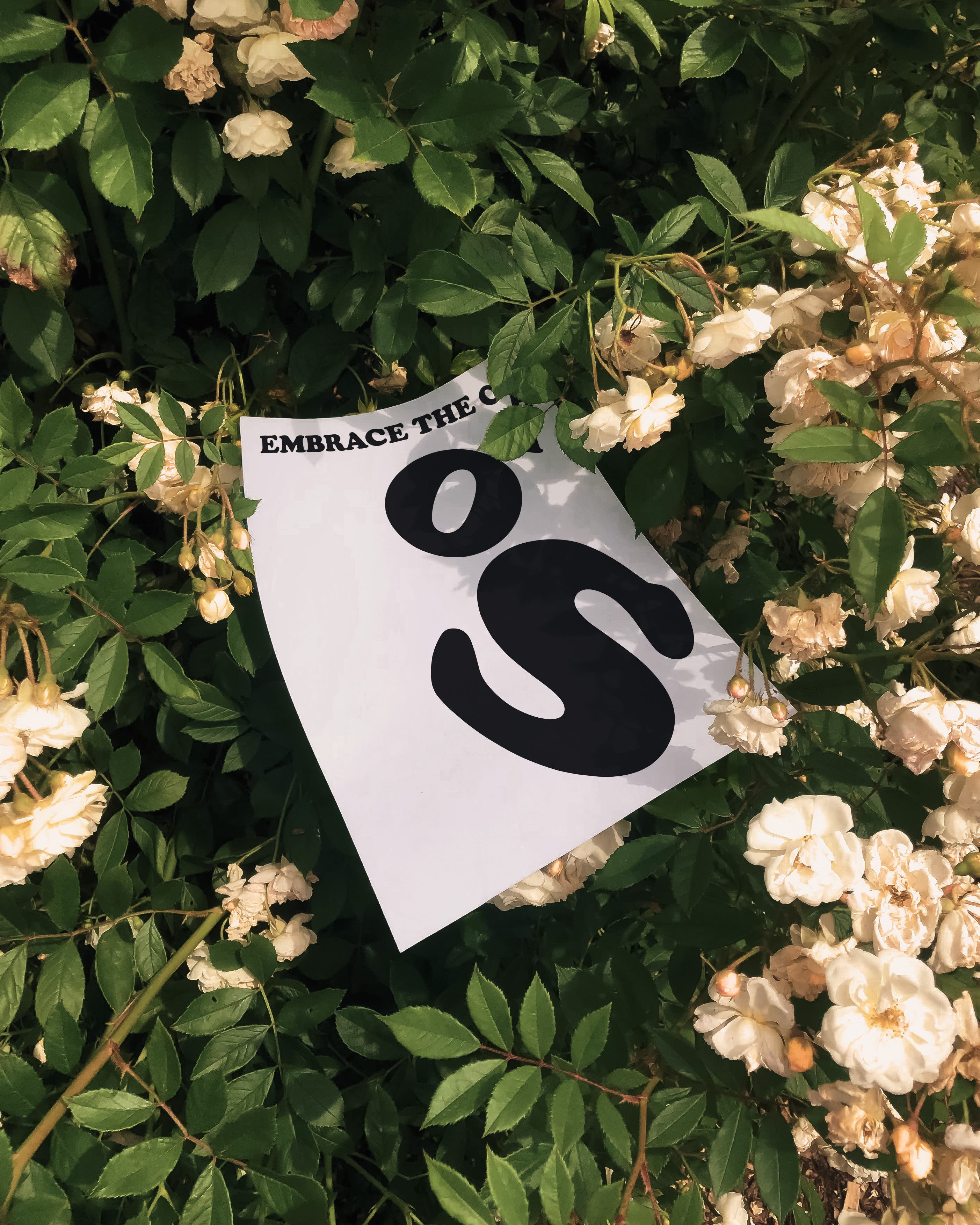 Embrace the Chaos Typography Wall Art (Digital Download)