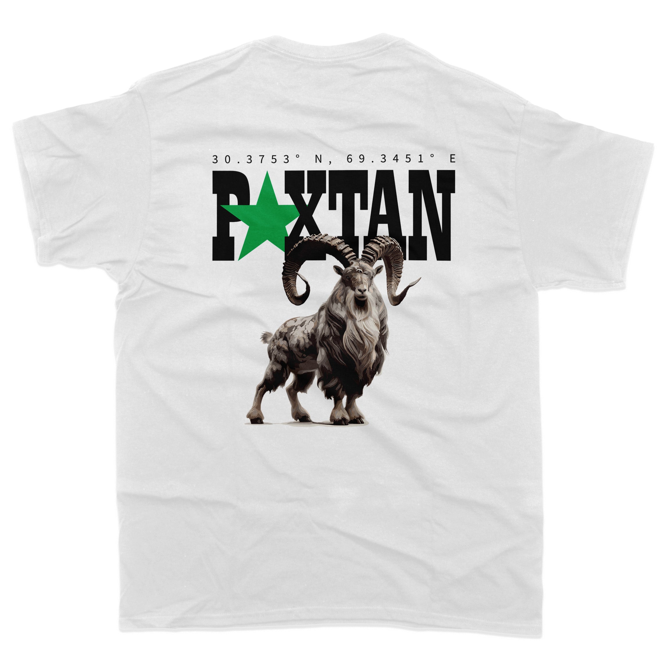 Pakistan Graphic T-Shirt