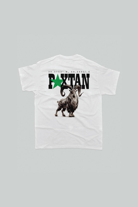 Pakistan Graphic T-Shirt